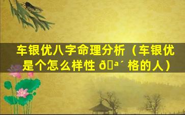 车银优八字命理分析（车银优是个怎么样性 🪴 格的人）